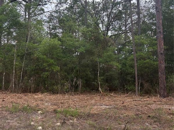 10831 N MATARO AVENUE , CITRUS SPRINGS, FL 34434