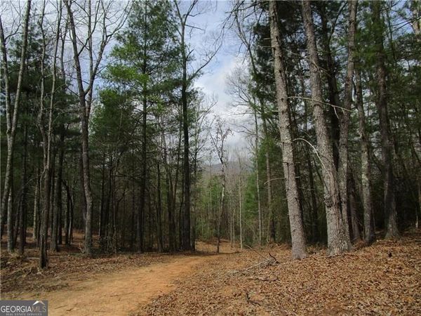 3 AC East New Hope Road, Ellijay, GA 30536