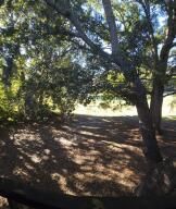 2945 Dove Haven Court Photo 16