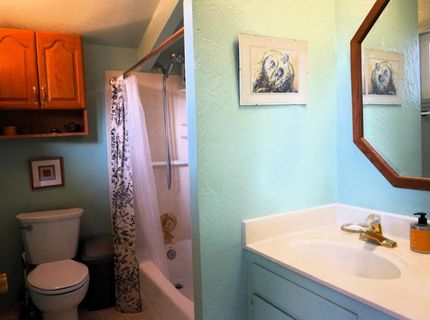 17051 Hale Rd, Fiddletown, CA 95629 Photo