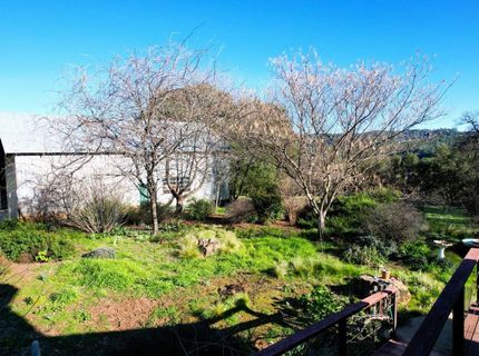 17051 Hale Rd, Fiddletown, CA 95629 Photo