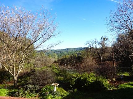 17051 Hale Rd, Fiddletown, CA 95629 Photo