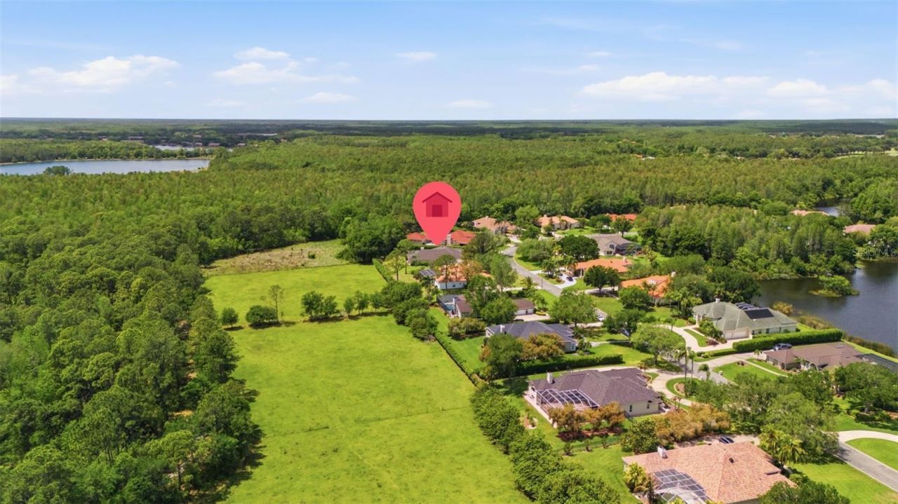 18629 Avenue Capri, Lutz, FL 33558 Photo