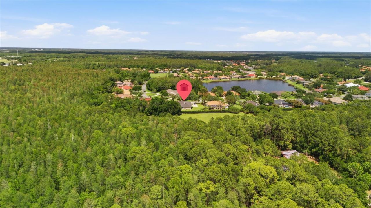 18629 Avenue Capri, Lutz, FL 33558 Photo