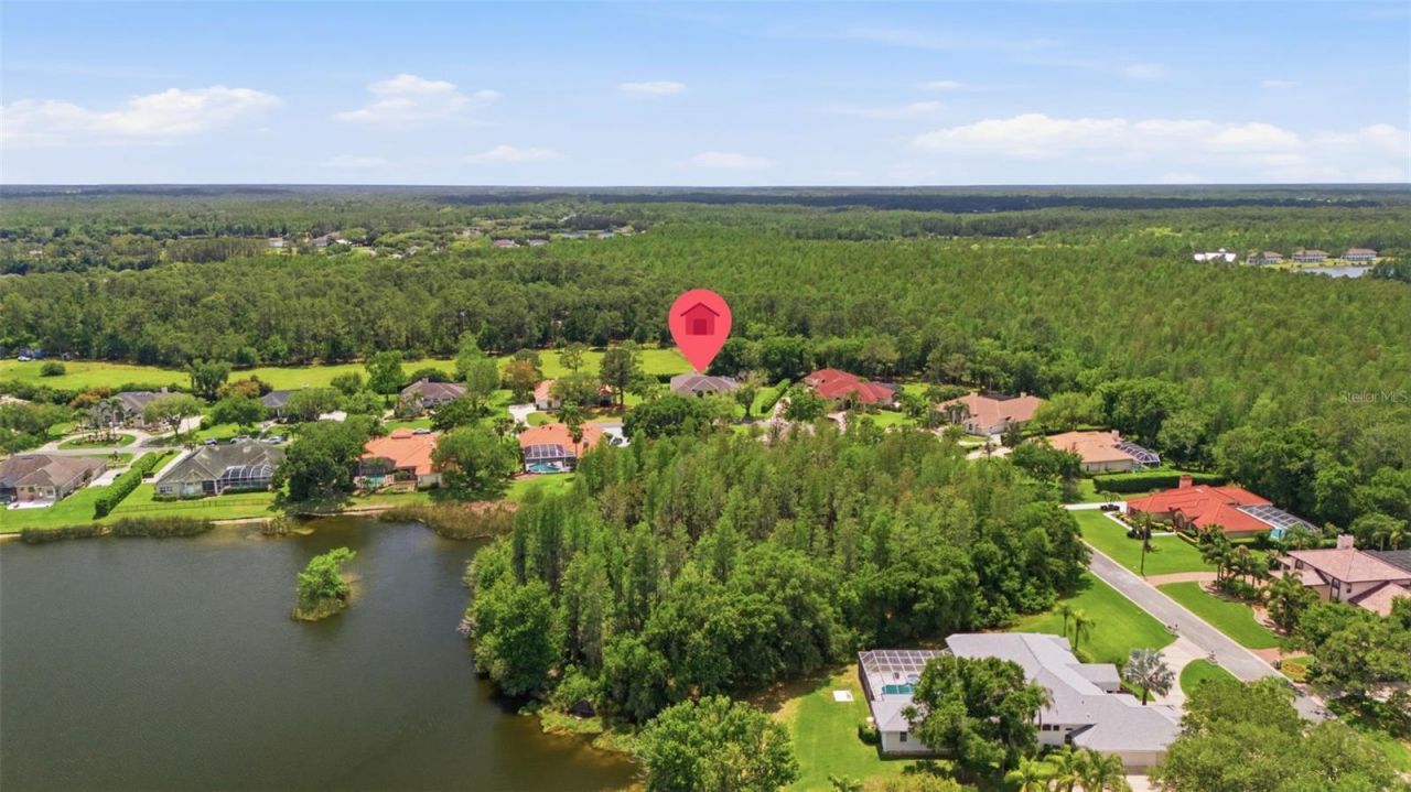 18629 Avenue Capri, Lutz, FL 33558 Photo