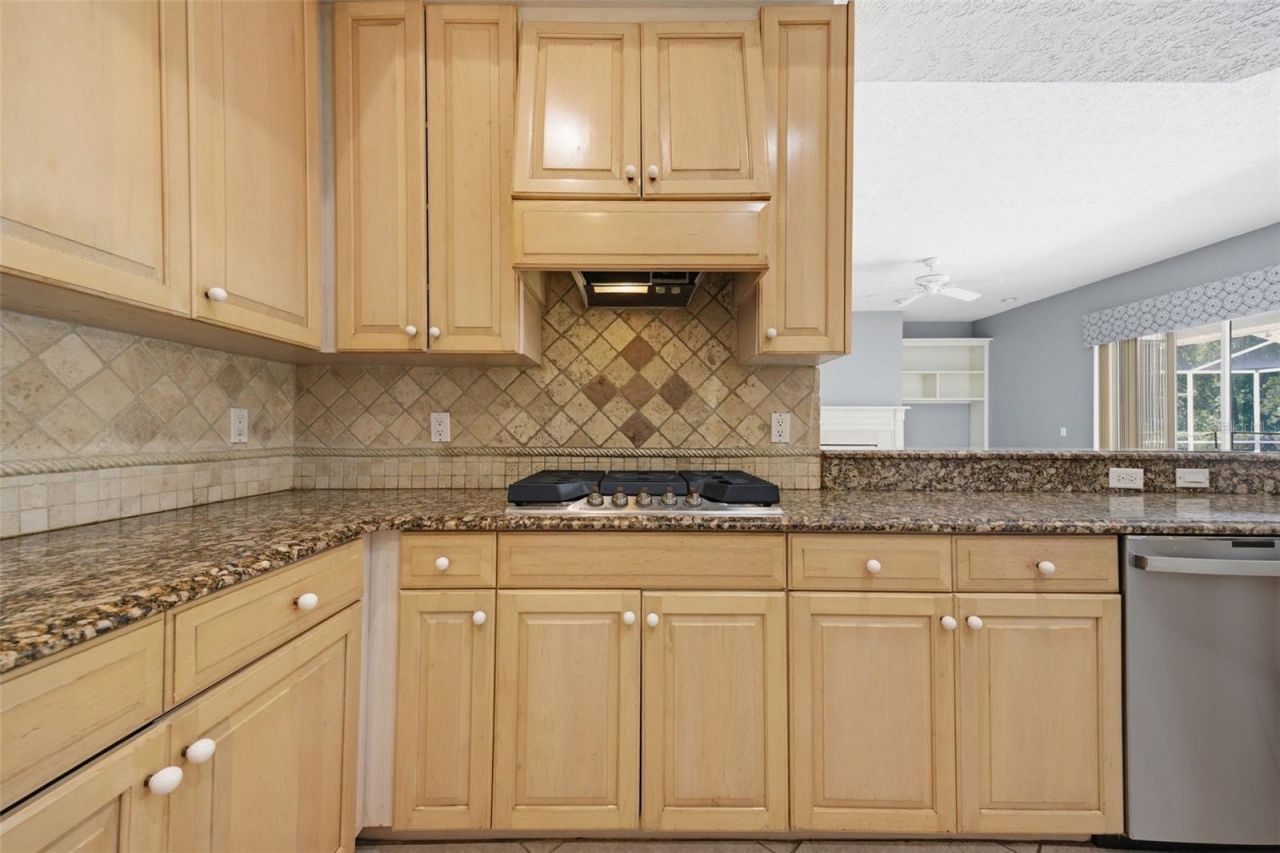 18629 Avenue Capri, Lutz, FL 33558 Photo