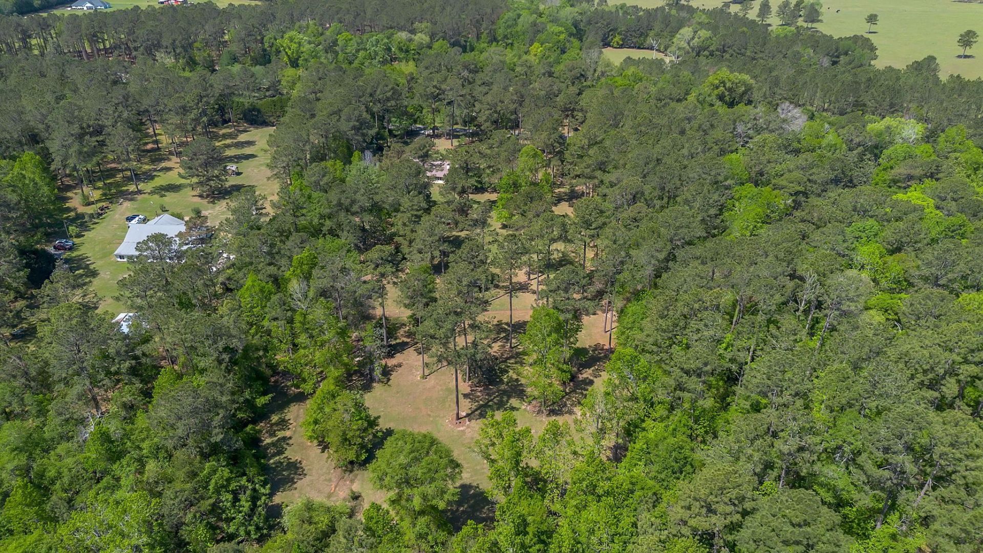 2848 Lanier Road , Havana, FL 32333 Photo