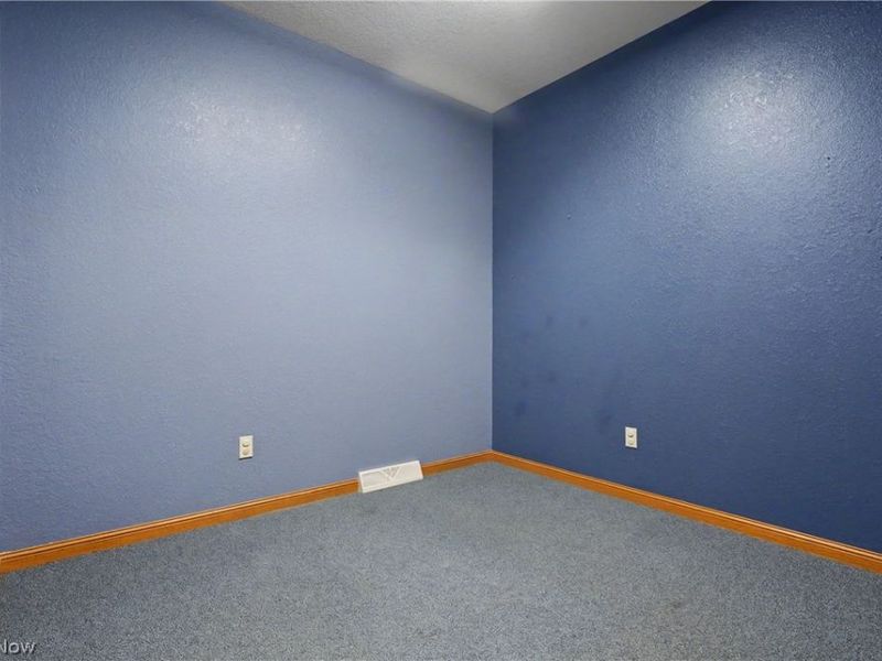 819 Southwestern Run, Poland, OH 44514 Photo 22