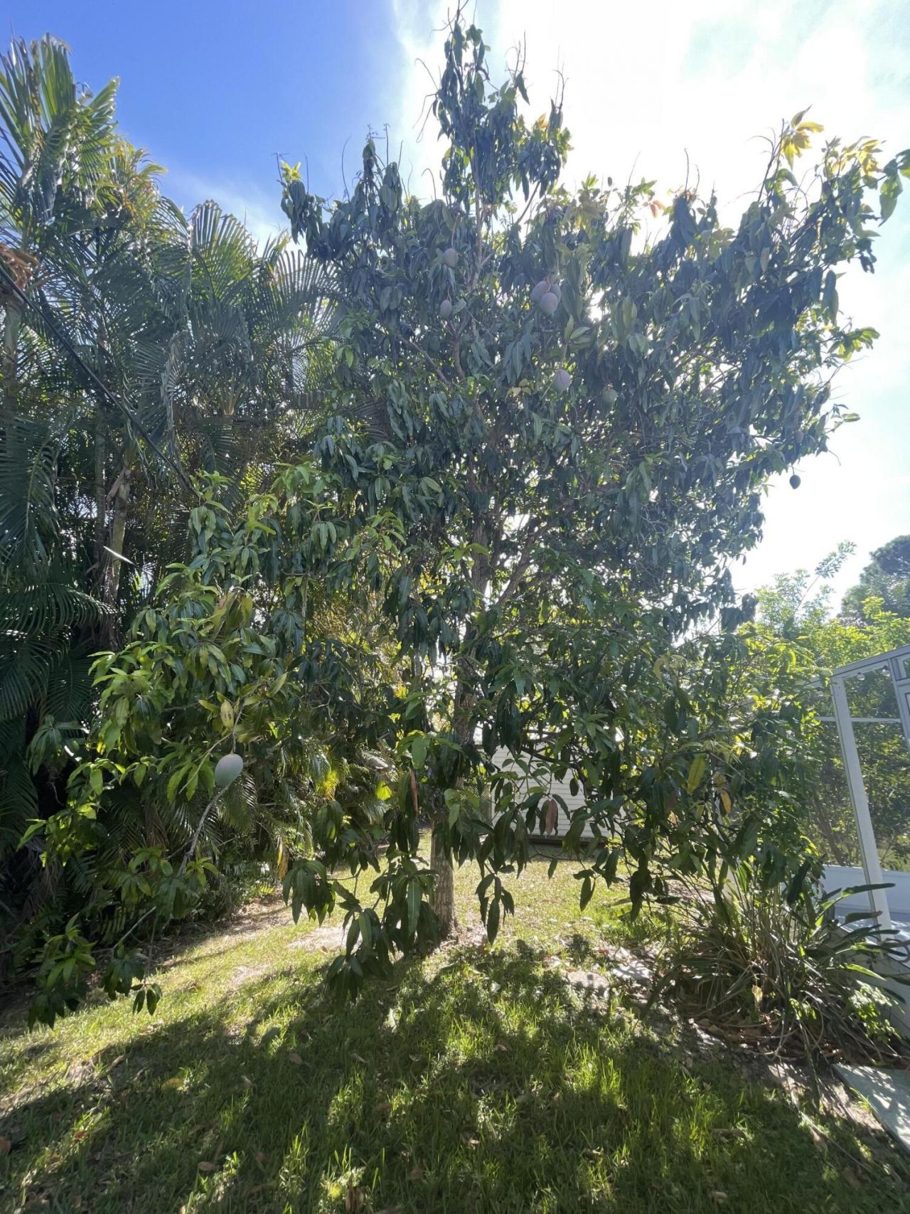 1150 SW Jumper Street, Port Saint Lucie, FL 34983 Photo