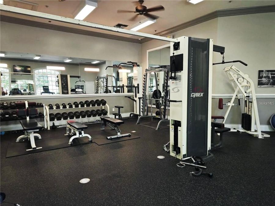 Property Image 31