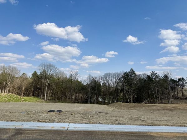 510 St Charles Dr, Arrington, TN 37014