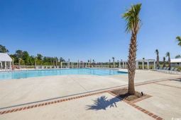 1253 Newell Dr photo 4