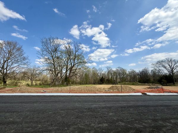 536 Divine Ct, Arrington, TN 37014