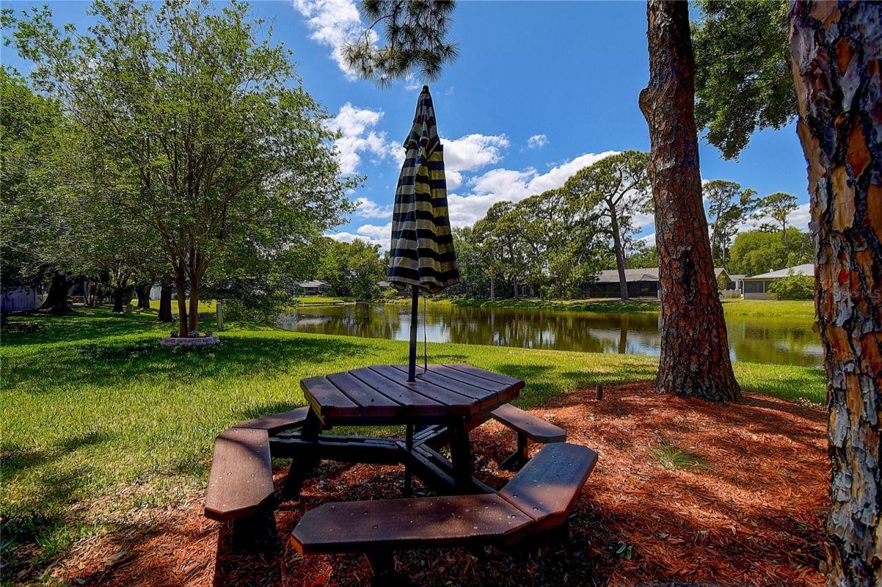 13920 Egret Lane, Clearwater, FL 33762 Photo