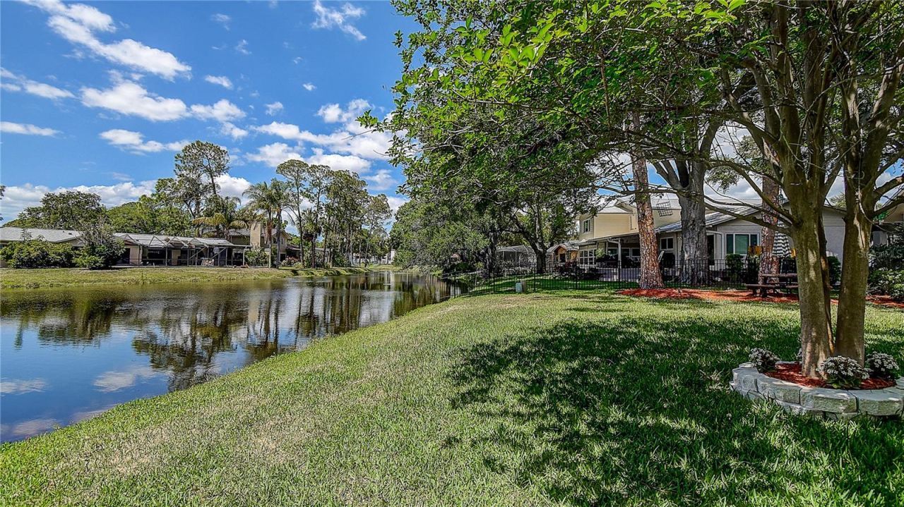 13920 Egret Lane, Clearwater, FL 33762 Photo