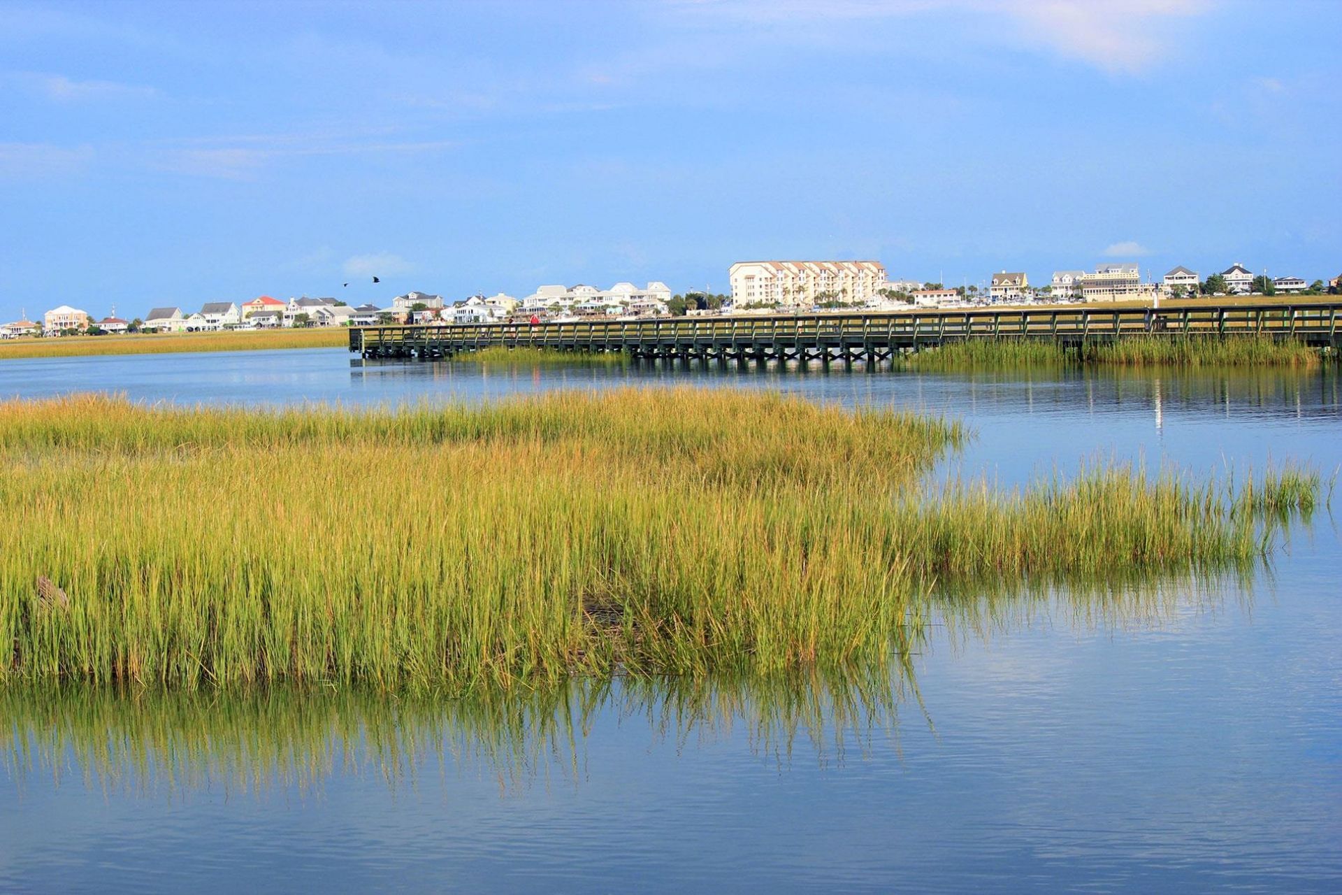 4437 Lady Banks Ln. Photo 36