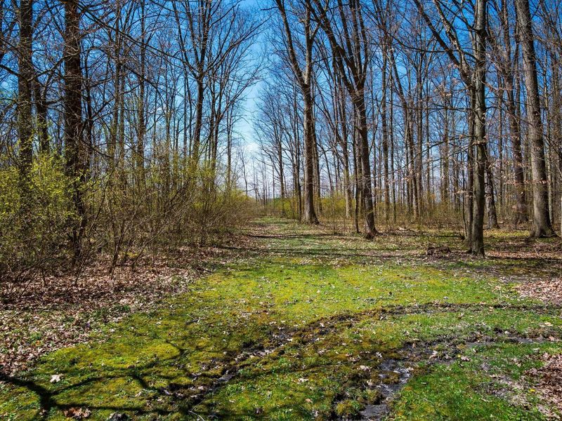 6311 Wheeler Road, Delaware, OH 43015 Photo 37