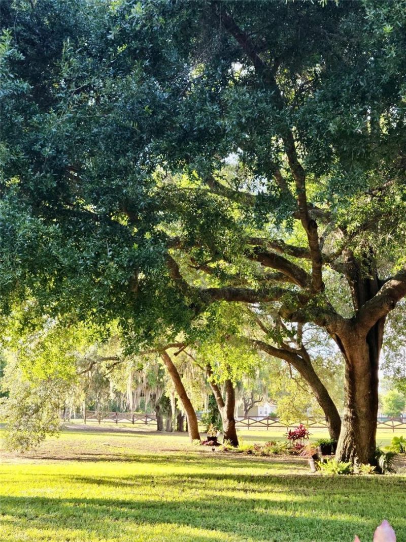 21289 County Road 455, Clermont, FL 34715 Photo