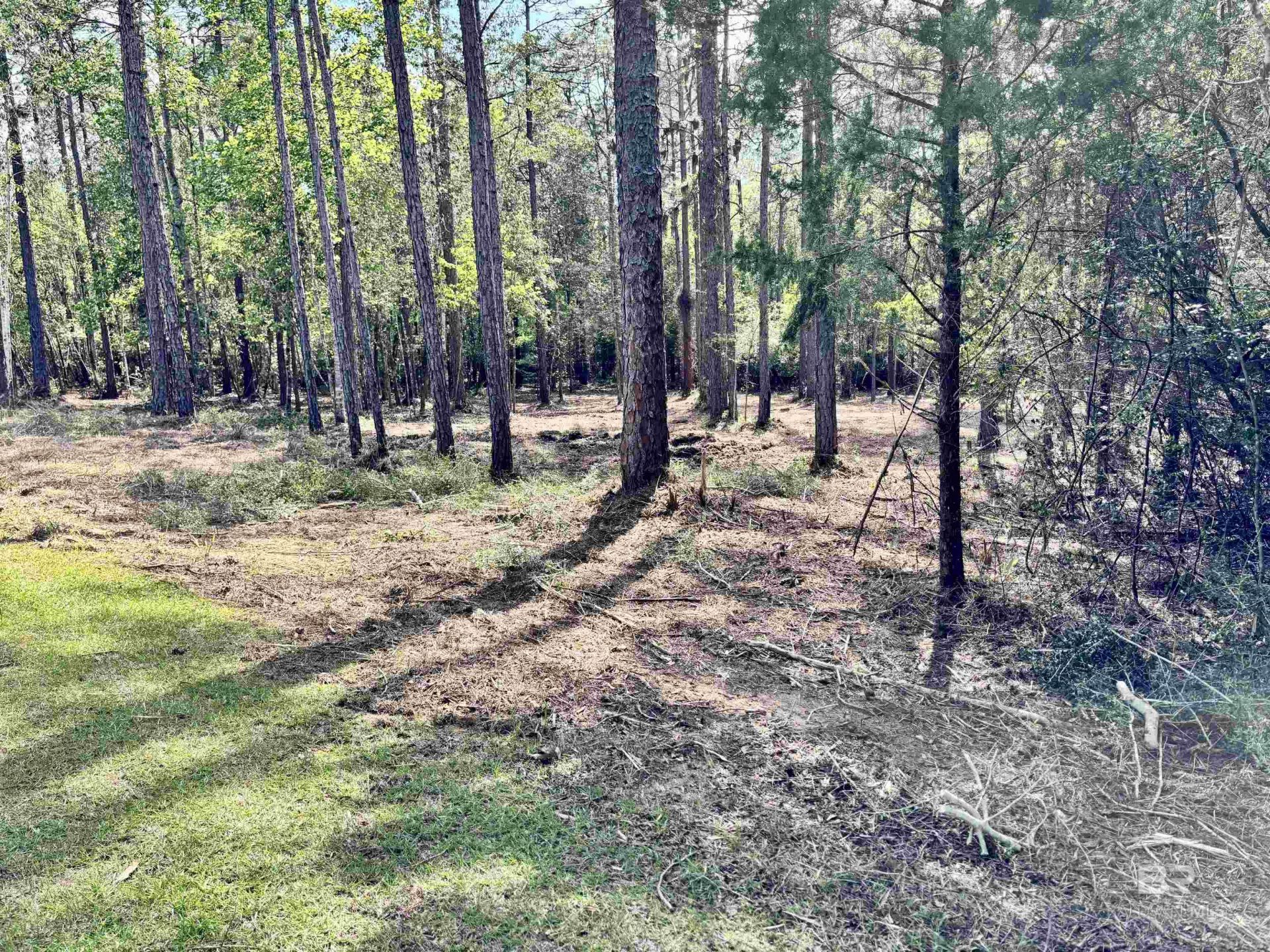 0 Steelwood Ridge Road, Loxley, AL 36551 Main Photo