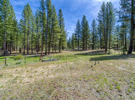154 Cody Drive, Clio, CA 96103 Photo