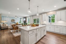 364 Chapin Place Way photo 4