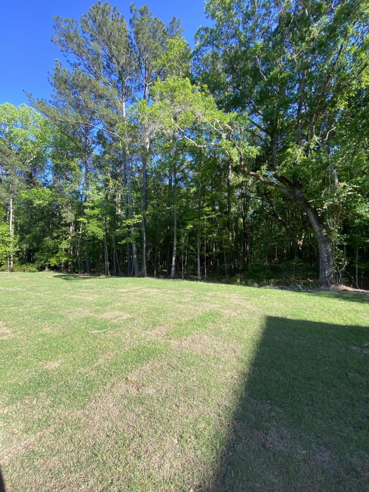 3136 Vanessa Lynne Lane Photo 38