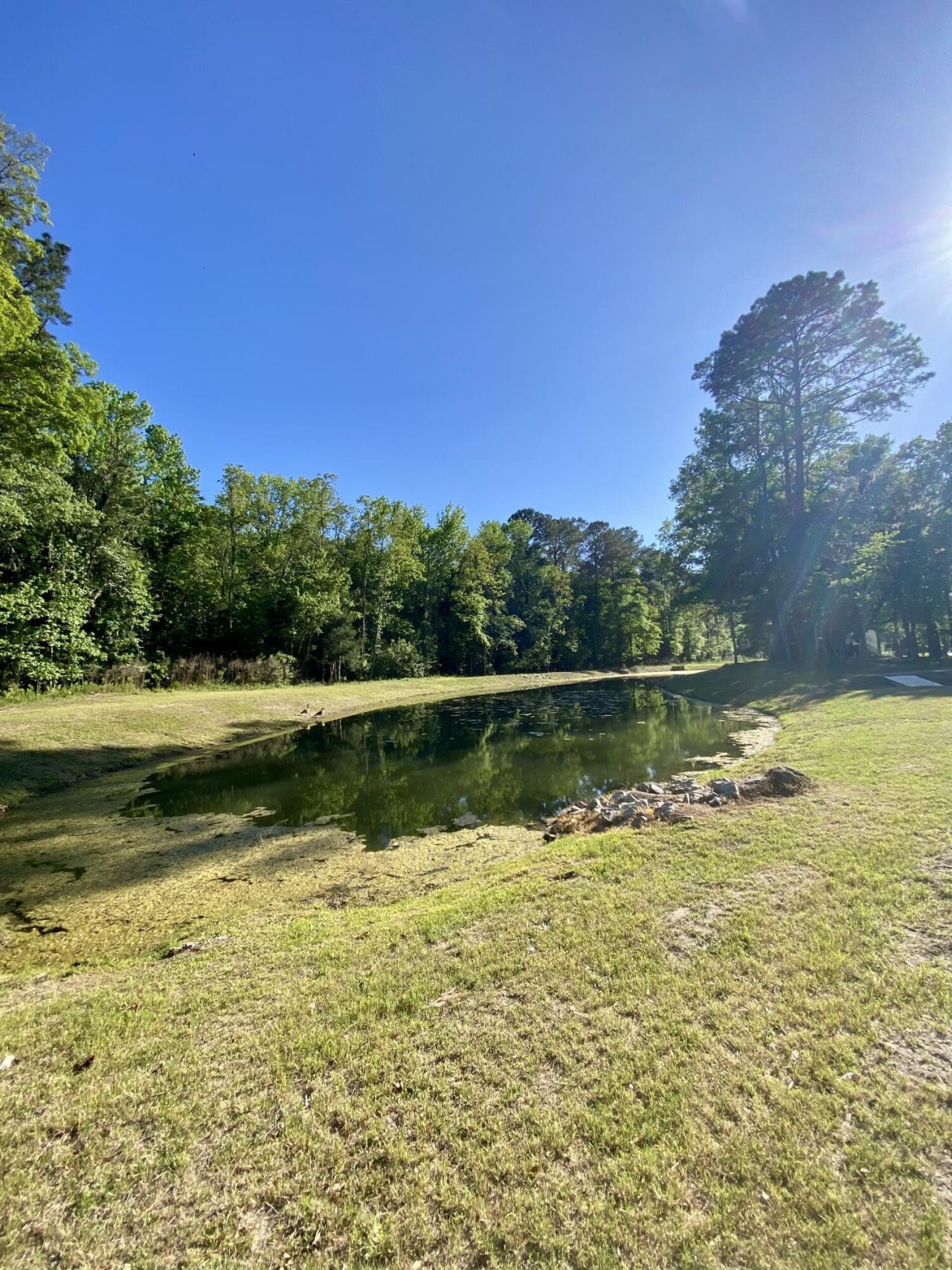 3136 Vanessa Lynne Lane Photo 39