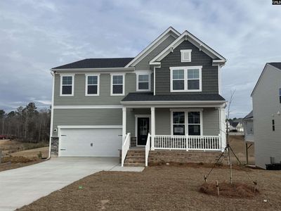 372 Chapin Place Way , Chapin, SC 29036