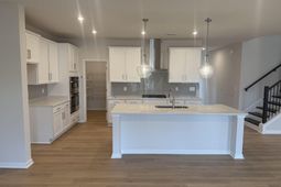 372 Chapin Place Way  photo 4