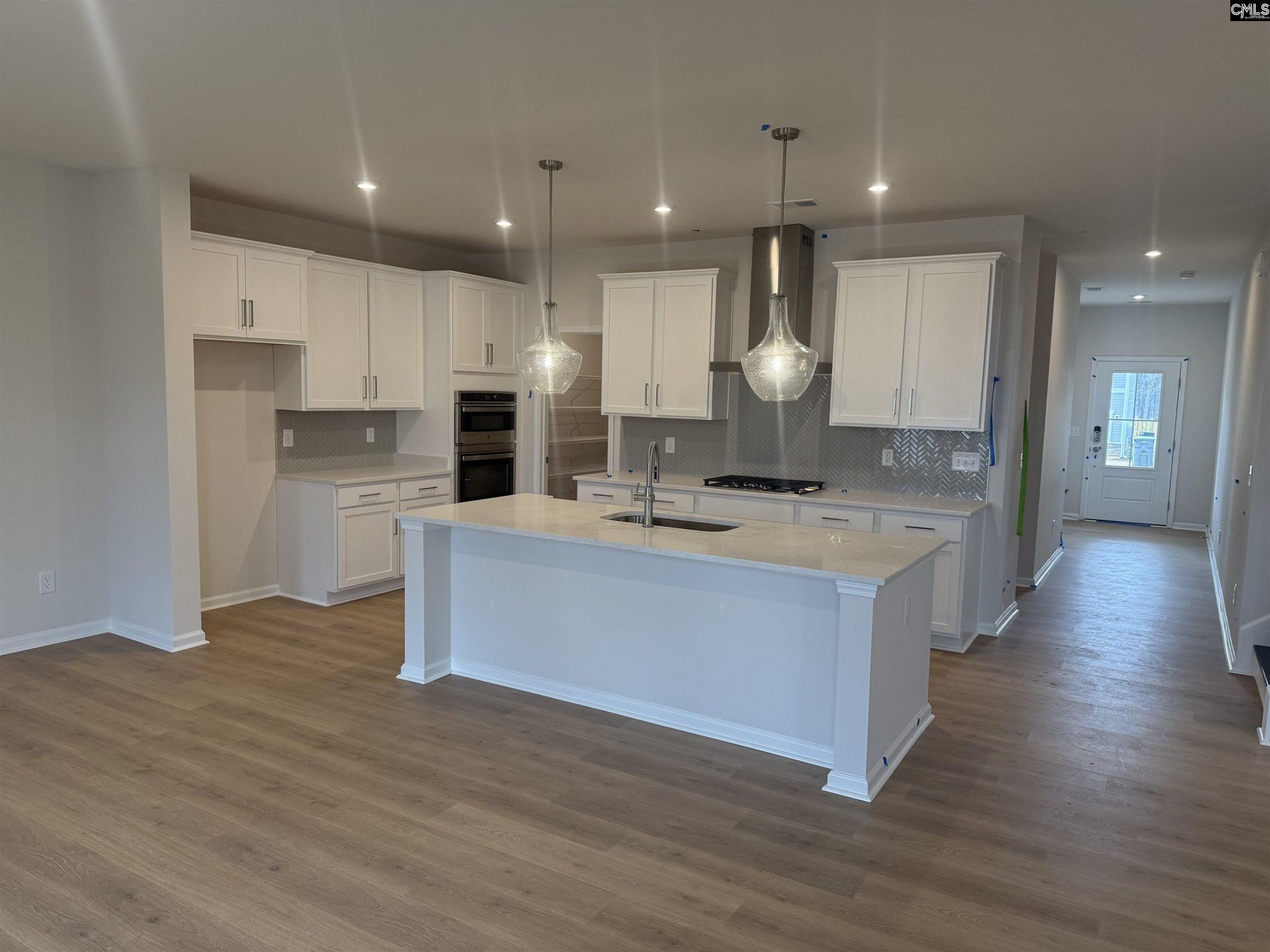 372 Chapin Place Way Photo 47