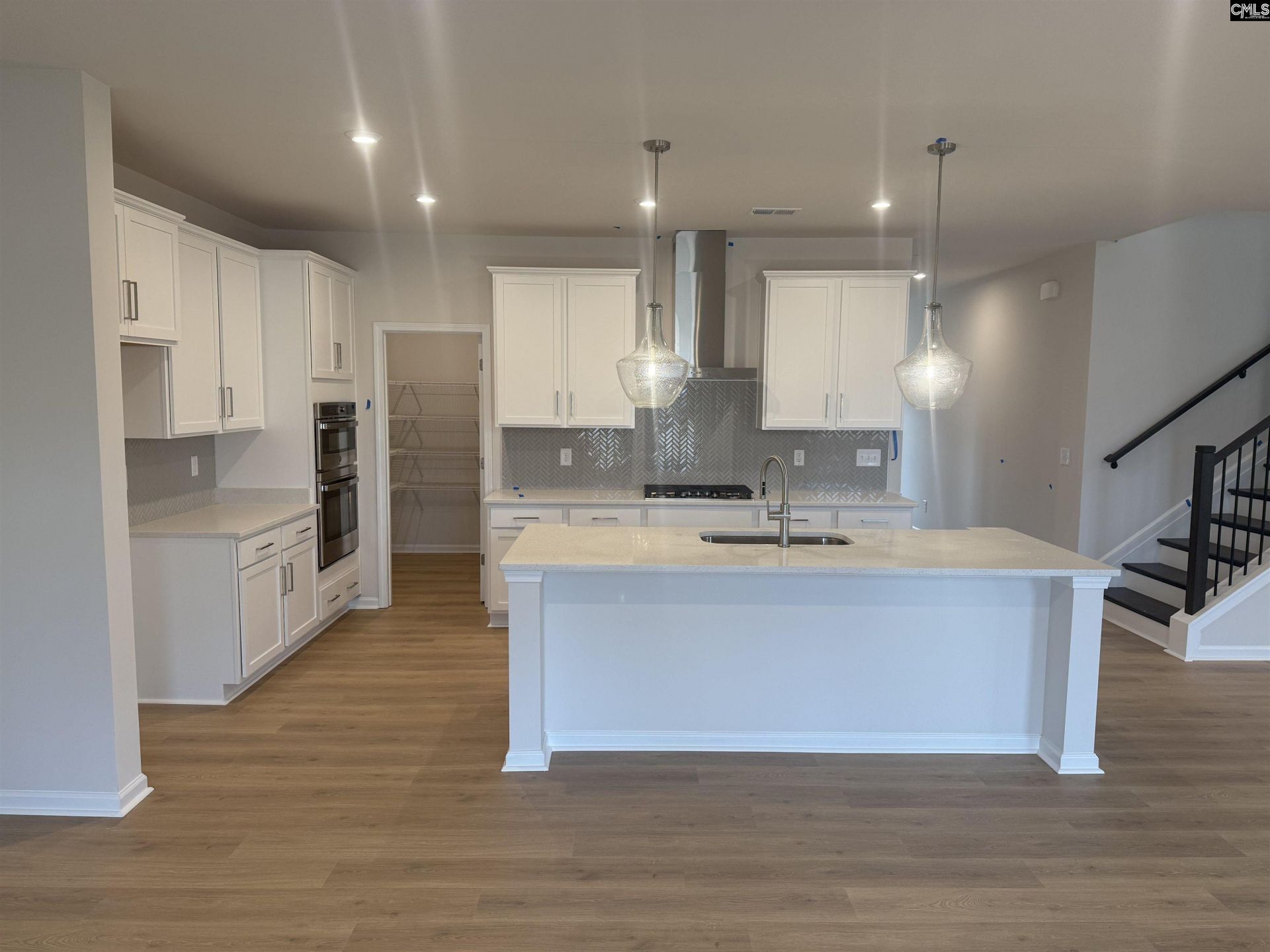 372 Chapin Place Way Photo 48