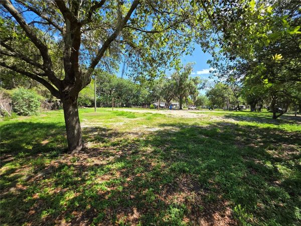 7229 JAMES STANALAND ROAD , PLANT CITY, FL 33567