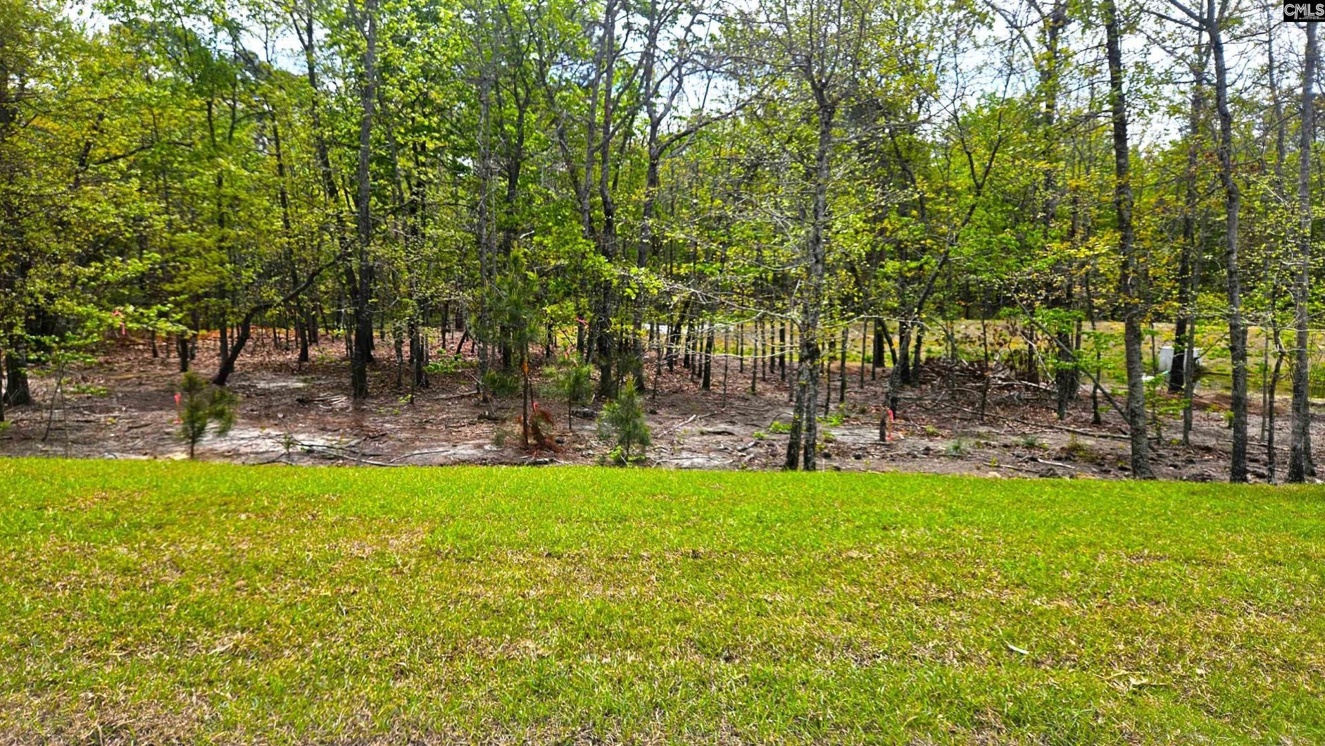 306 Frog Leap Road Photo 5