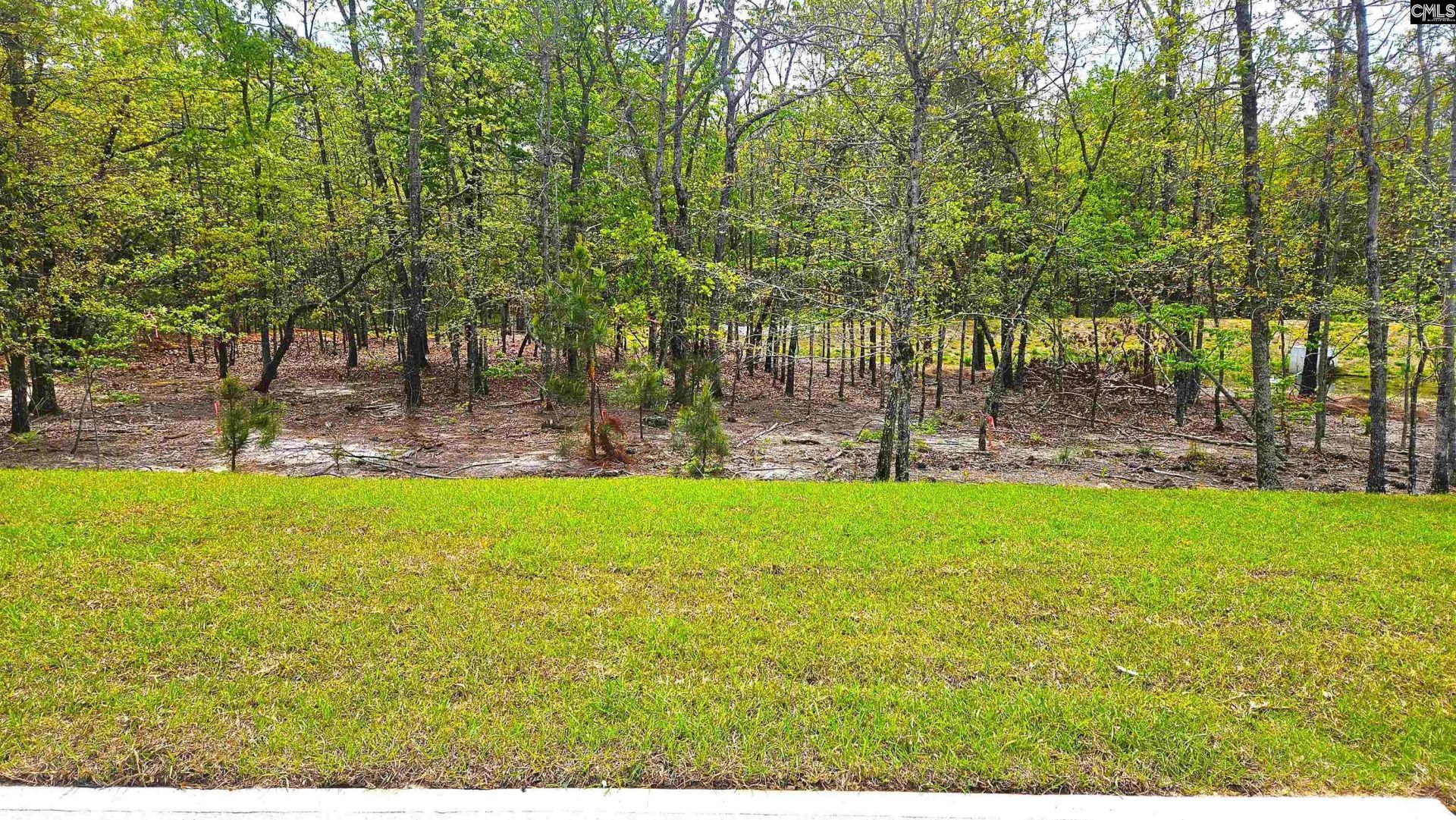 306 Frog Leap Road Photo 6