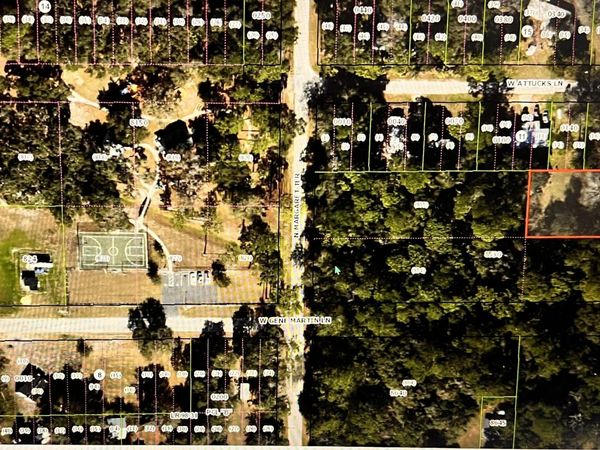 12144 N Osborne Avenue, Dunnellon, FL 34434