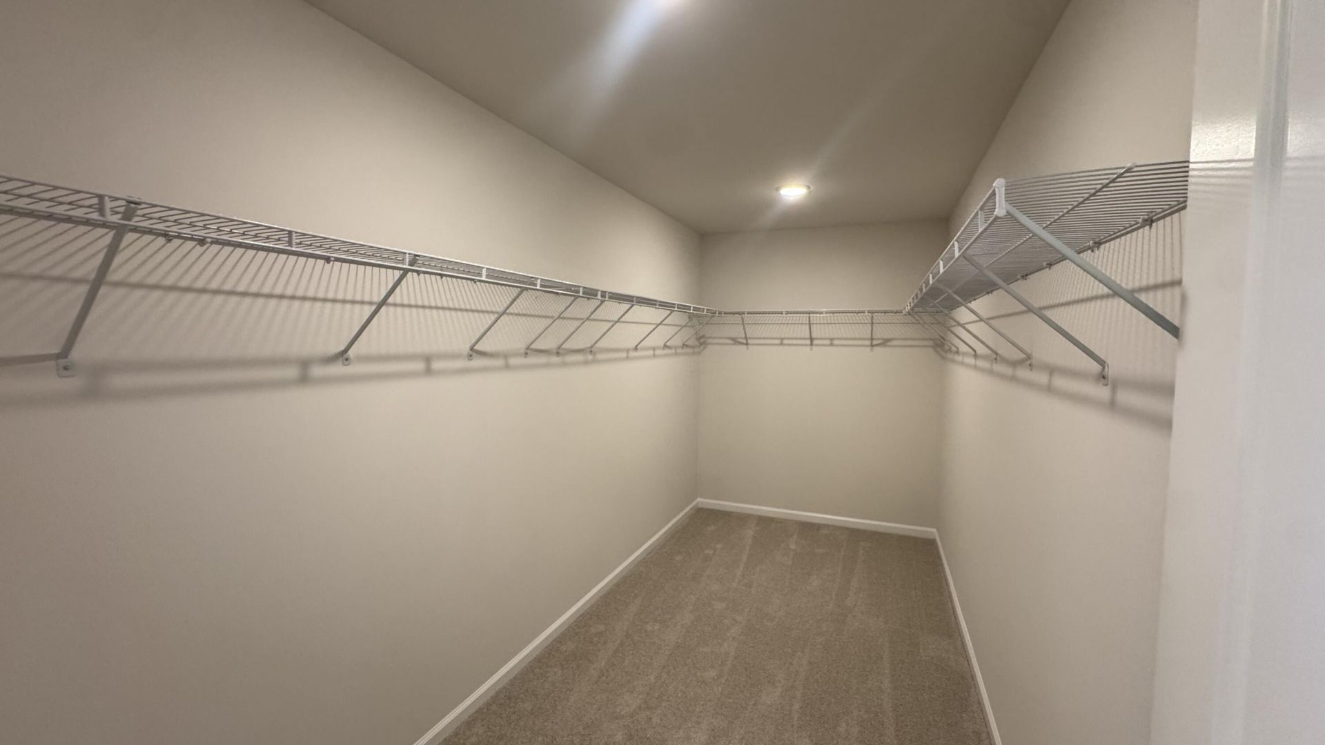 5360 Crinum Lilly Drive Photo 41