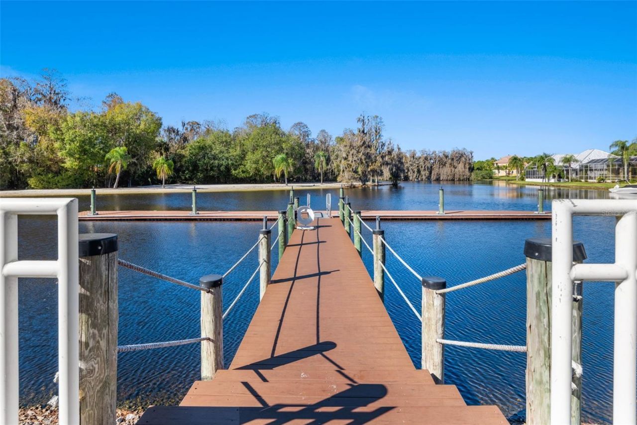 10513 Bermuda Isle Drive, Tampa, FL 33647 Photo