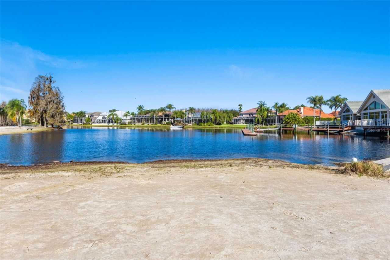 10513 Bermuda Isle Drive, Tampa, FL 33647 Photo