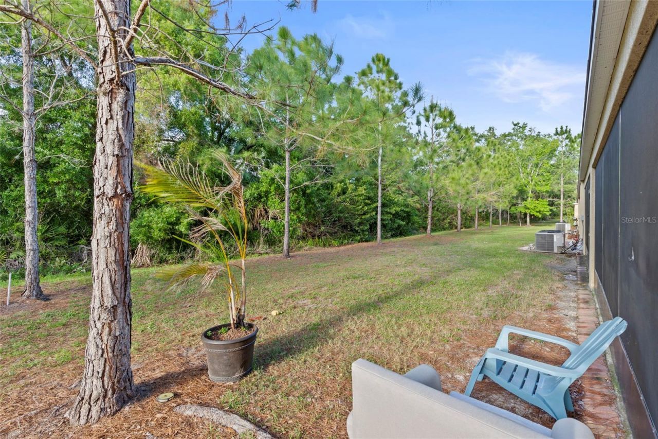 9718 Hound Chase Drive, Gibsonton, FL 33534 Photo