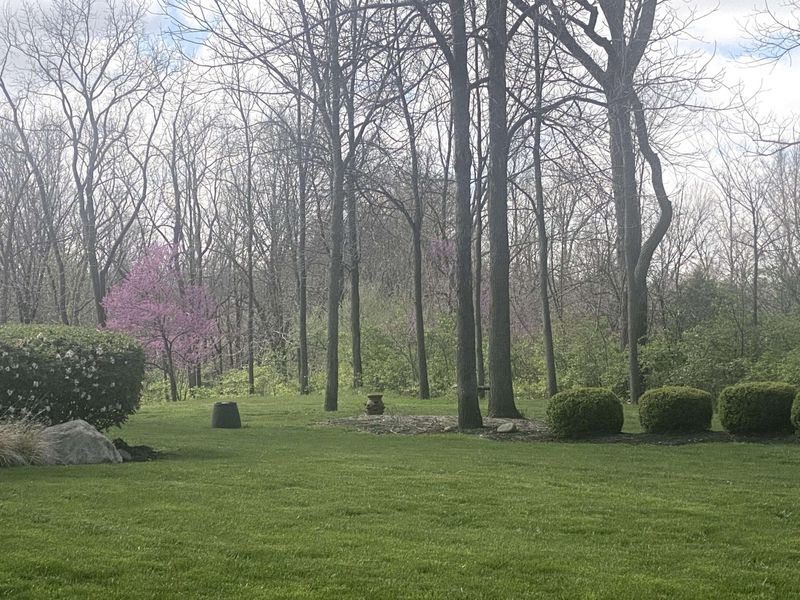 1065 Stewart Road, Pleasant Hill, OH 45359 Photo 18