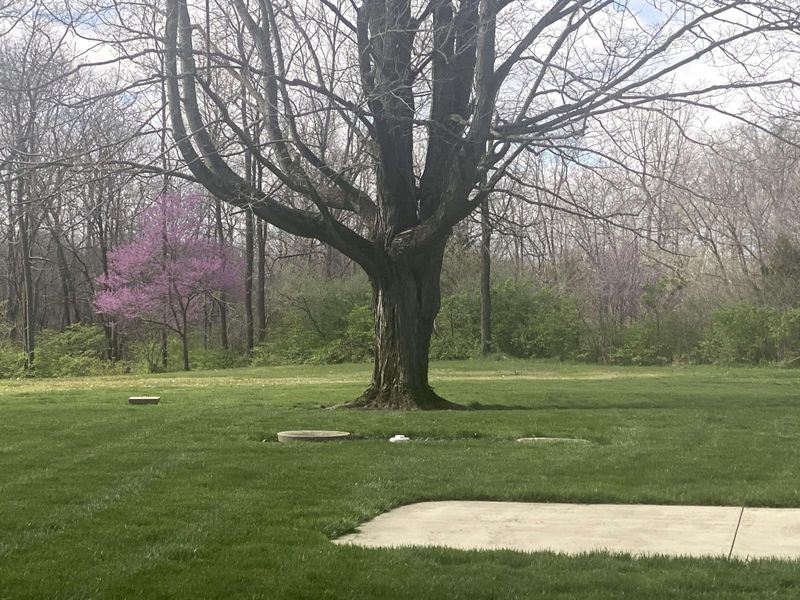 1065 Stewart Road, Pleasant Hill, OH 45359 Photo 19