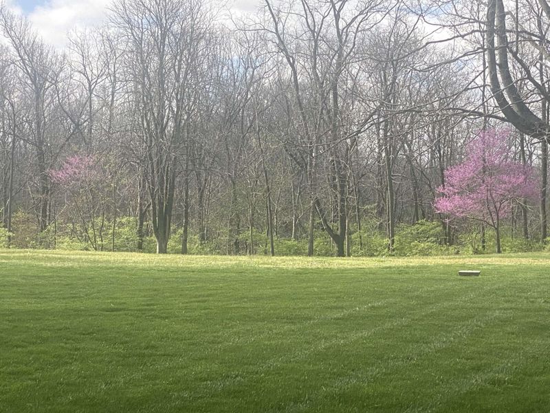 1065 Stewart Road, Pleasant Hill, OH 45359 Photo 20