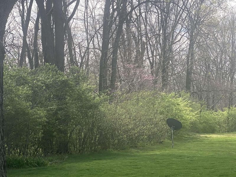 1065 Stewart Road, Pleasant Hill, OH 45359 Photo 21