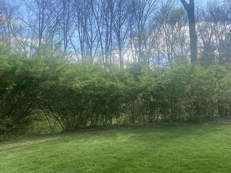 1065 Stewart Road, Pleasant Hill, OH 45359 Photo 22