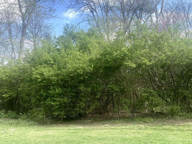 1065 Stewart Road, Pleasant Hill, OH 45359 Photo 23