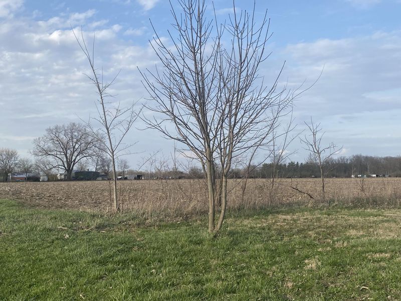 1065 Stewart Road, Pleasant Hill, OH 45359 Photo 25