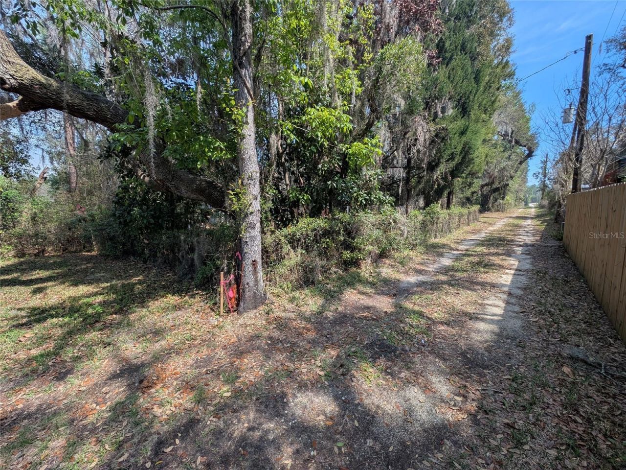 23797 NE 189th Street , Fort Mc Coy, FL 32134 Photo