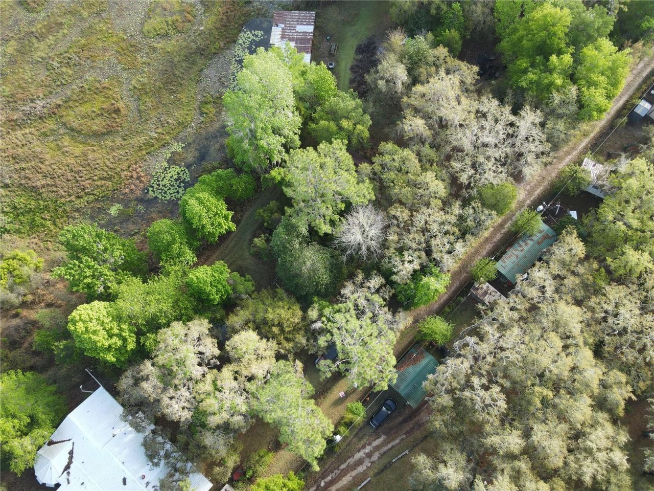 23797 NE 189th Street , Fort Mc Coy, FL 32134 Photo