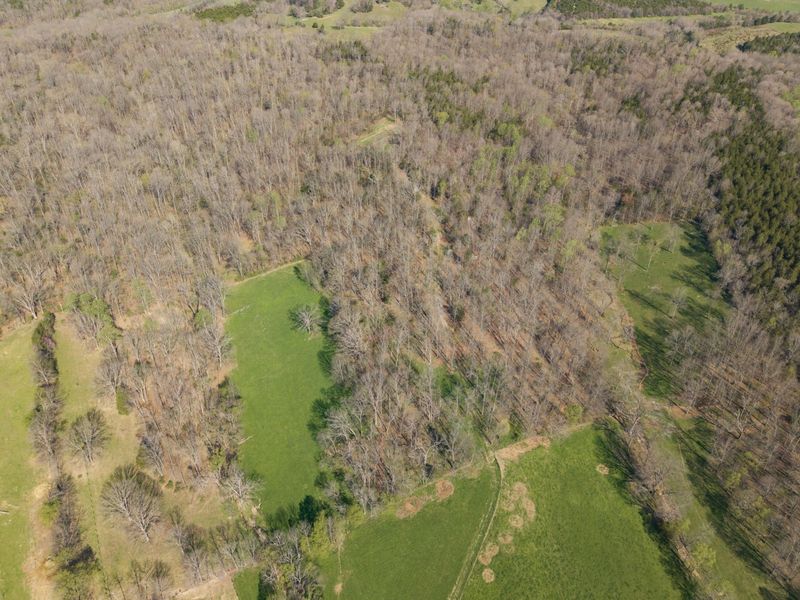 1810 Twin Creek Road, Sadieville, KY 40370 Photo 29