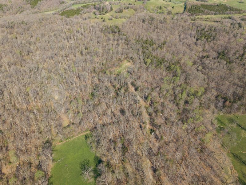 1810 Twin Creek Road, Sadieville, KY 40370 Photo 30